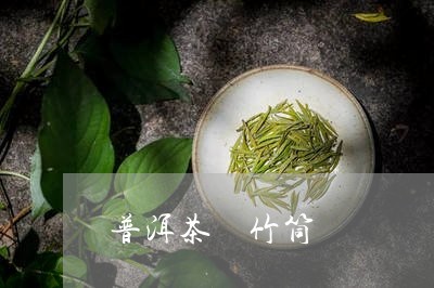 普洱茶 竹筒/2023042808814